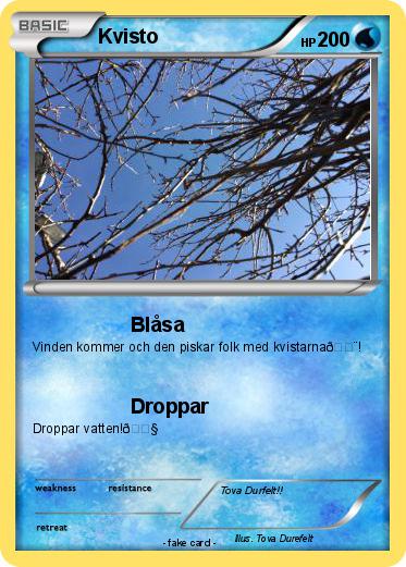 Pokemon Kvisto