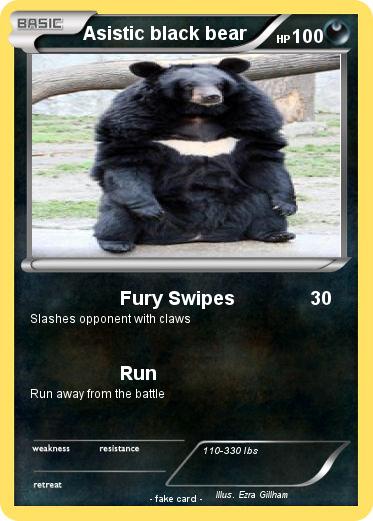 Pokemon Asistic black bear