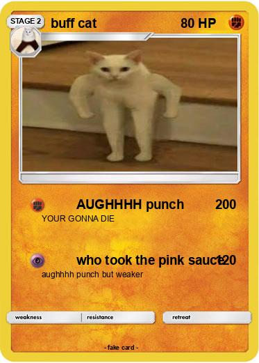 Pokemon buff cat