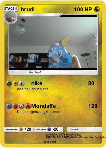 Pokemon brudi