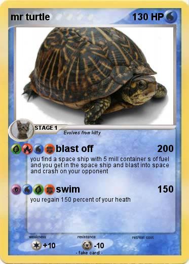 Pokemon mr turtle