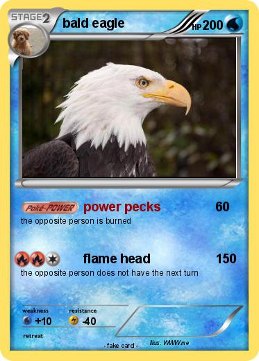 Pokemon bald eagle