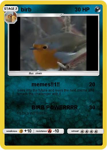 Pokemon birb