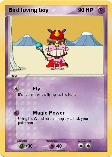 Pokemon Bird loving boy