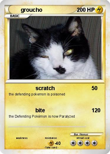 Pokemon groucho