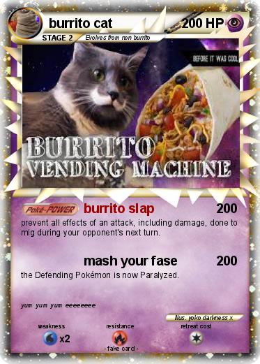 Pokemon burrito cat