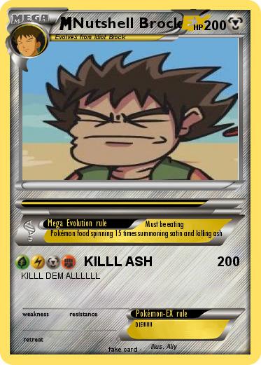 Pokemon Nutshell Brock