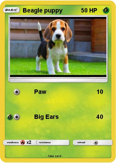 Pokemon Beagle puppy