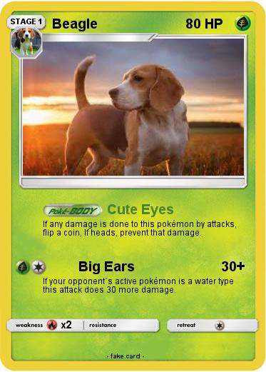 Pokemon Beagle
