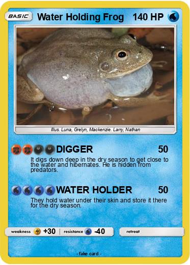 Pokemon Water Holding Frog