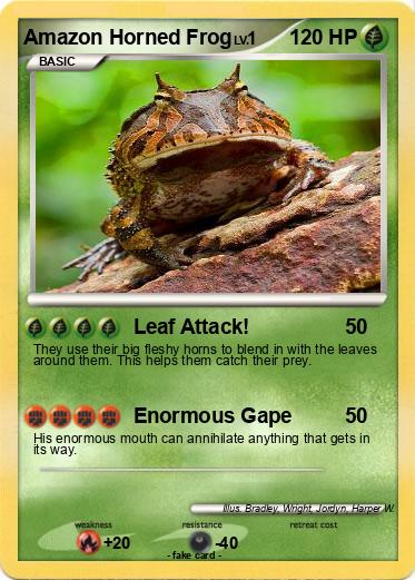 Pokemon Amazon Horned Frog