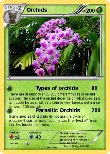 Pokemon Orchids