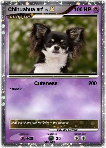Pokemon Chihuahua arf