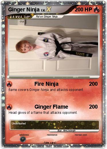 Pokemon Ginger Ninja