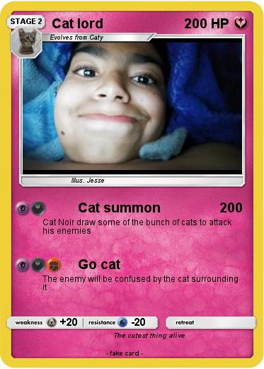 Pokemon Cat lord