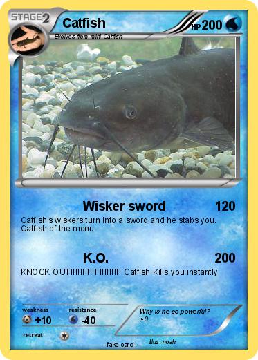 Pokemon Catfish
