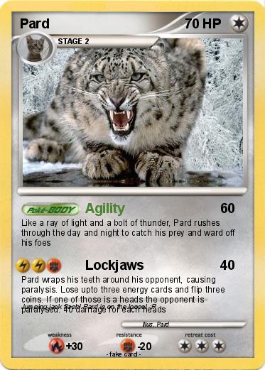 Pokemon Pard