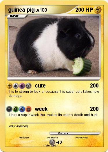 Pokemon guinea pig