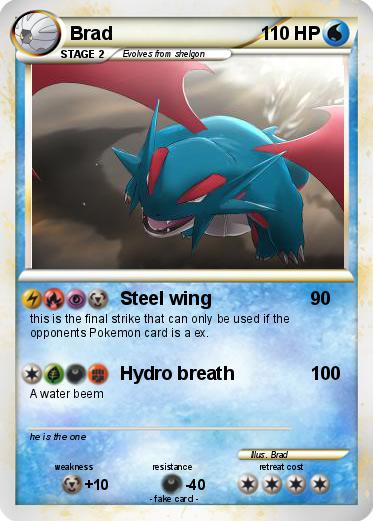 Pokemon Brad