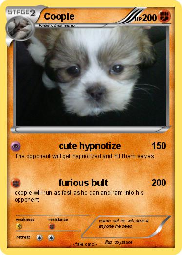 Pokemon Coopie