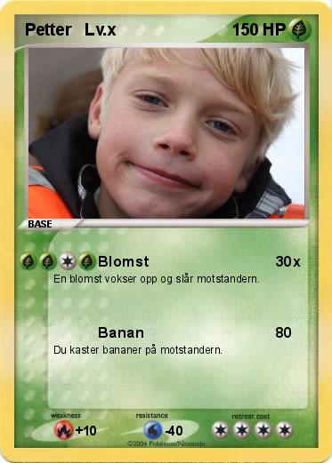 Pokemon Petter   Lv.x