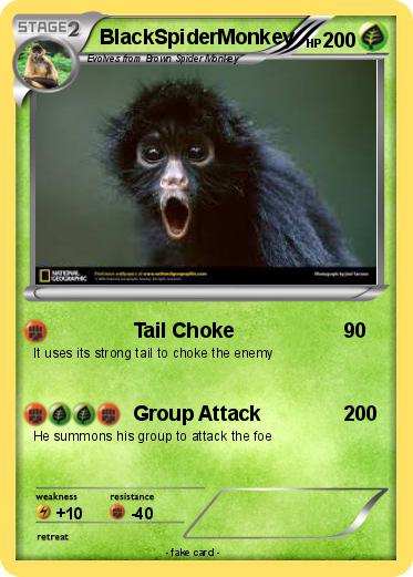 Pokemon BlackSpiderMonkey