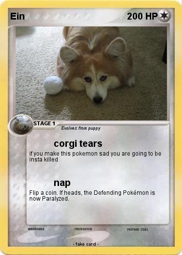Pokemon Ein