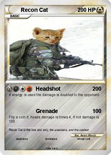 Pokemon Recon Cat Pokemon Recon Cat