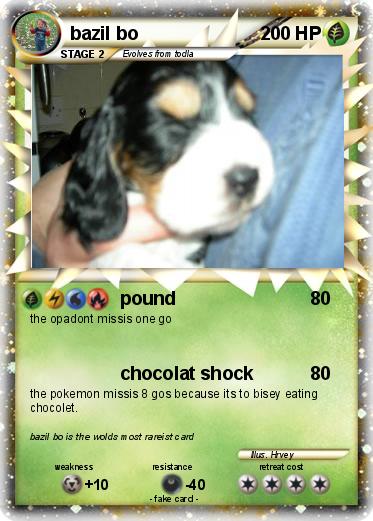 Pokemon bazil bo