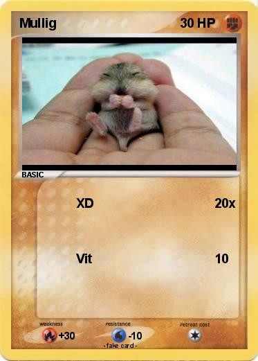 Pokemon Mullig