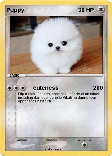Pokemon Puppy