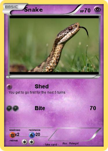 Pokemon Snake