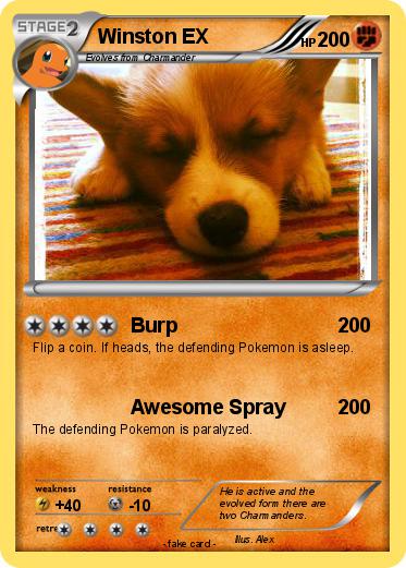 Pokemon Winston EX