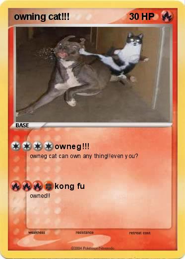 Pokemon owning cat!!!