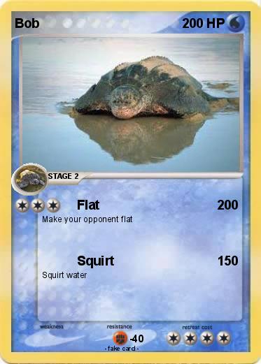 Pokemon Bob