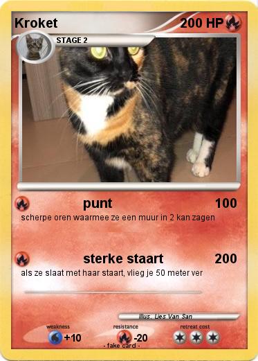 Pokemon Kroket