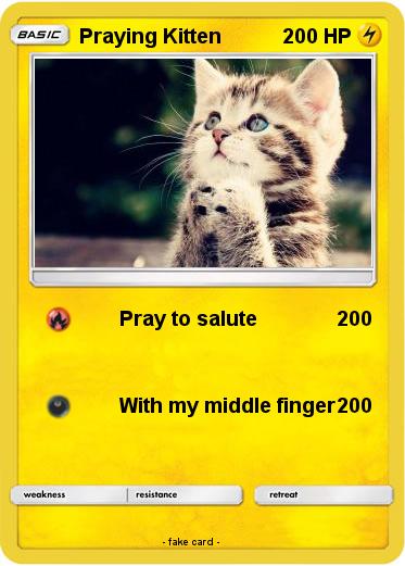 Pokemon Praying Kitten