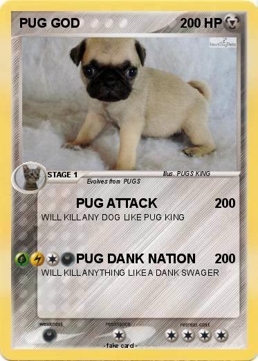 Pokemon PUG GOD