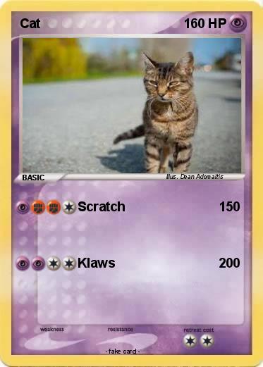 Pokemon Cat