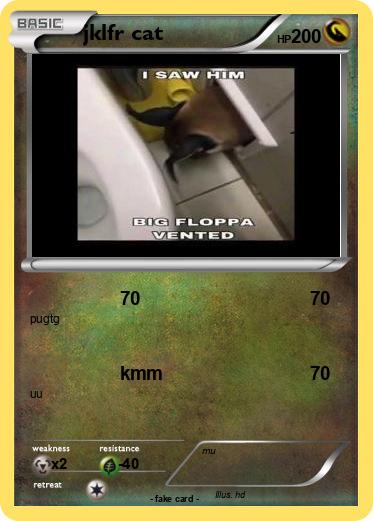 Pokemon jklfr cat