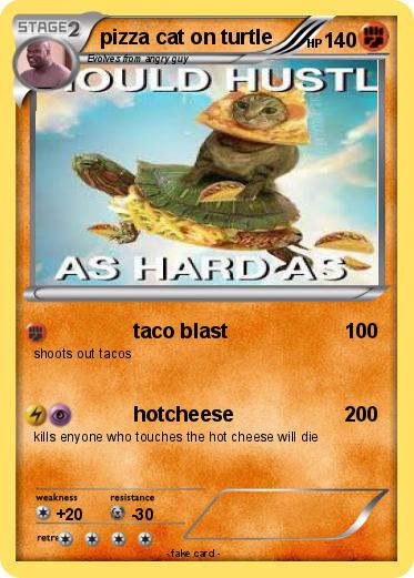 Pokemon pizza cat on turtle