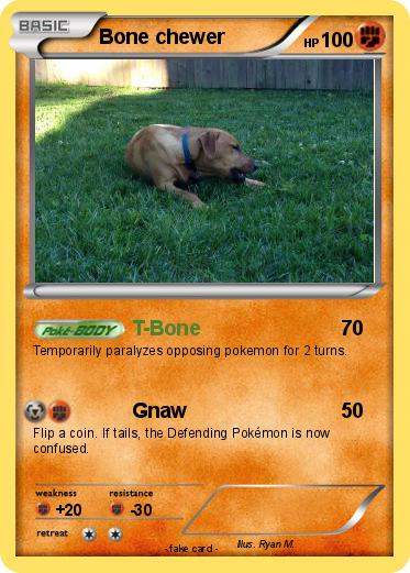 Pokemon Bone chewer