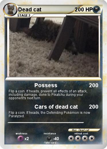 Pokemon Dead cat