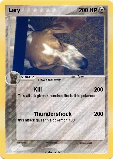 Pokemon Lary