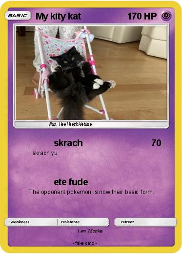 Pokemon My kity kat