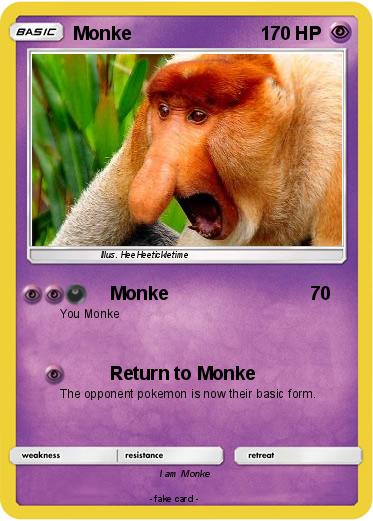 Pokemon Monke