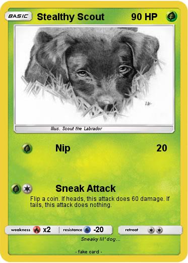 Pokemon Stealthy Scout