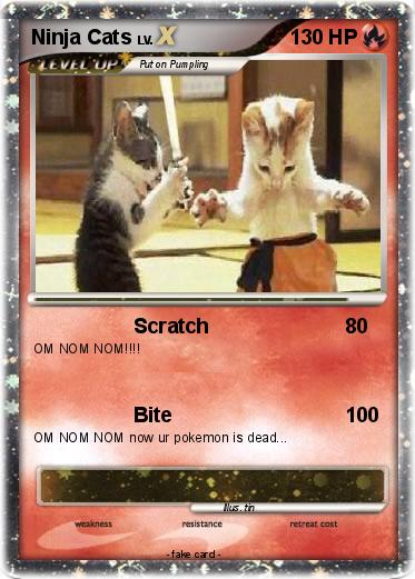 Pokemon Ninja Cats