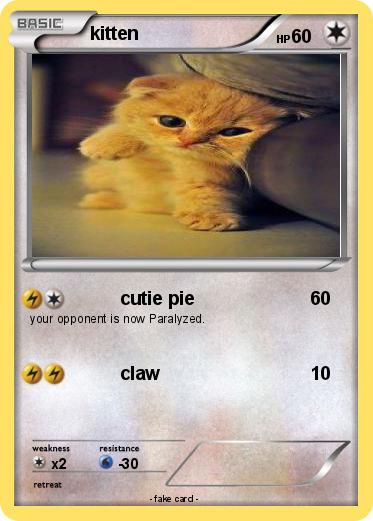 Pokemon kitten