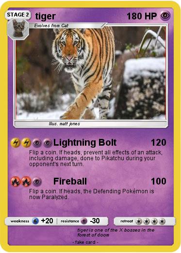 Pokemon tiger